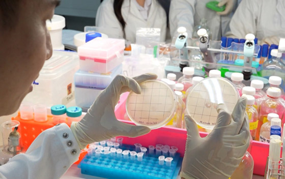 البكتيريا الخارقة.. مرض يهدد بقتل الملايين سنويا بحلول 2050 صورة رقم 5