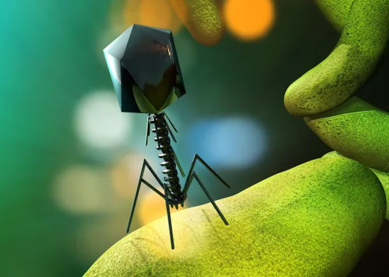 البكتيريا الخارقة.. مرض يهدد بقتل الملايين سنويا بحلول 2050 صورة رقم 8