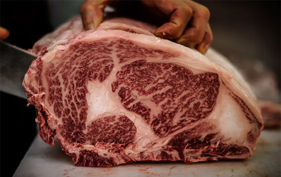 في اليابان.. طبق من لحم بقري سيصلك بعد 43 عاما من طلبه! صور صورة رقم 6