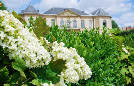 جولة سياحية على أماكن عروض الأزياء في أسبوع الموضة بباريس صورة رقم 4