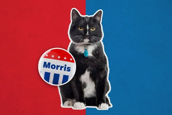 9 حيوانات تم ترشيحها لتولي مناصب سياسية عبر التاريخ! صورة رقم 1