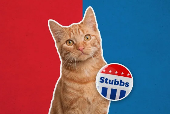 9 حيوانات تم ترشيحها لتولي مناصب سياسية عبر التاريخ! صورة رقم 2