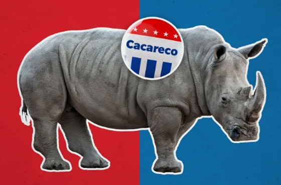 9 حيوانات تم ترشيحها لتولي مناصب سياسية عبر التاريخ! صورة رقم 3