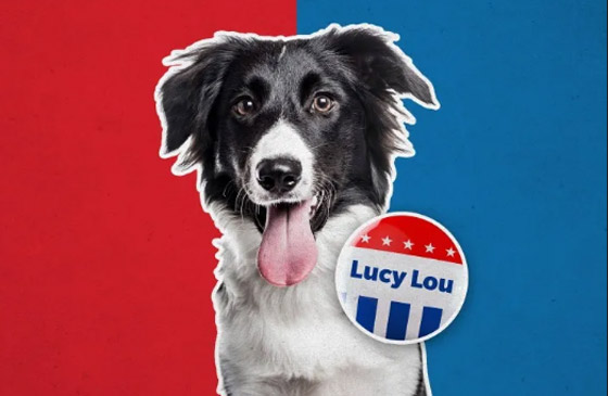 9 حيوانات تم ترشيحها لتولي مناصب سياسية عبر التاريخ! صورة رقم 4