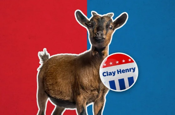 9 حيوانات تم ترشيحها لتولي مناصب سياسية عبر التاريخ! صورة رقم 5