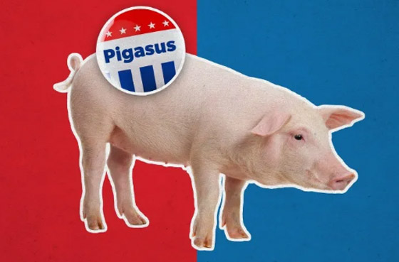 9 حيوانات تم ترشيحها لتولي مناصب سياسية عبر التاريخ! صورة رقم 6