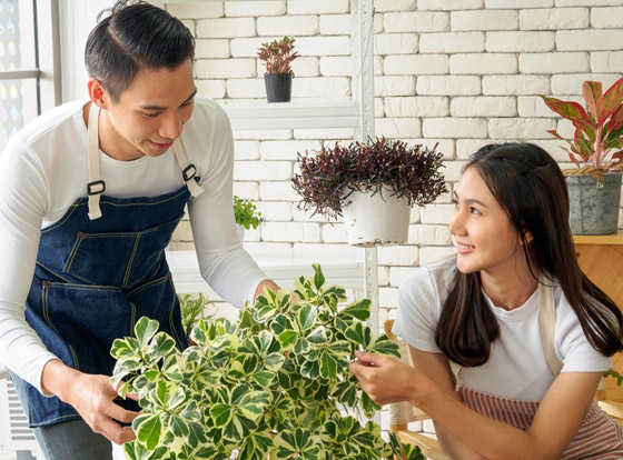 لمنزل مرتب وطاقة إيجابية.. تخلصي من هذه الأشياء صورة رقم 4