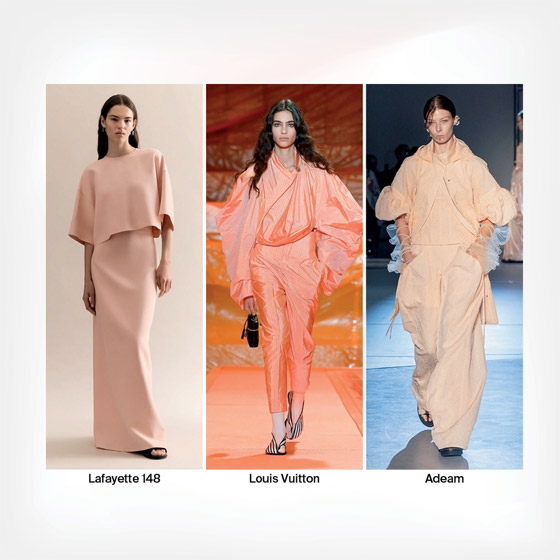 الخوخي الناعم.. لون عام 2024 صورة رقم 2