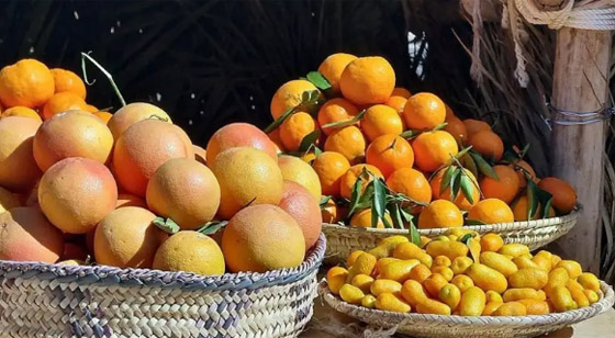 تناول الحمضيات بعد الطعام مباشرة قد يكون مضراً.. تعرَّف على الأسباب صورة رقم 1