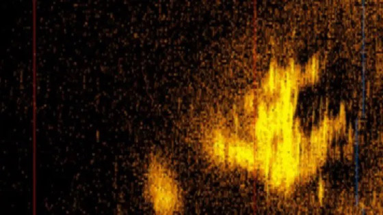 مستكشف يزعم العثور على حطام طائرة أول امرأة تحلّق فوق الأطلسي صورة رقم 2