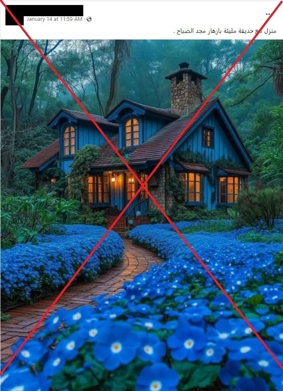 صور مدهشة لمنزل وردي وحديقة زرقاء.. حقيقة أم خيال؟! صورة رقم 3