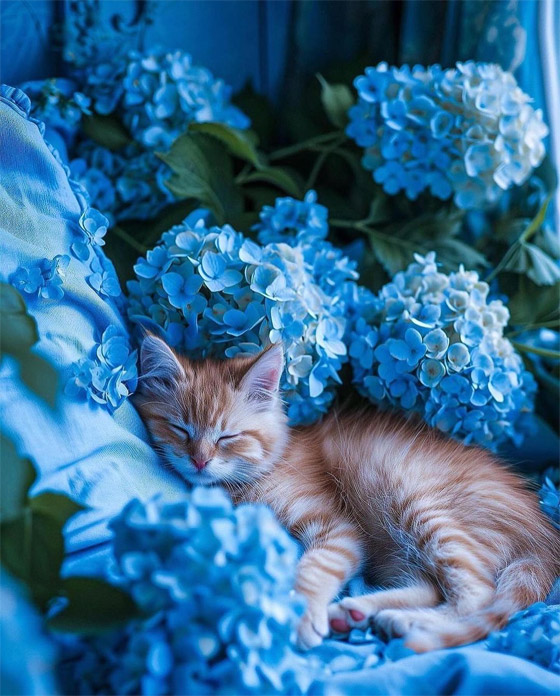 صور مدهشة لمنزل وردي وحديقة زرقاء.. حقيقة أم خيال؟! صورة رقم 7