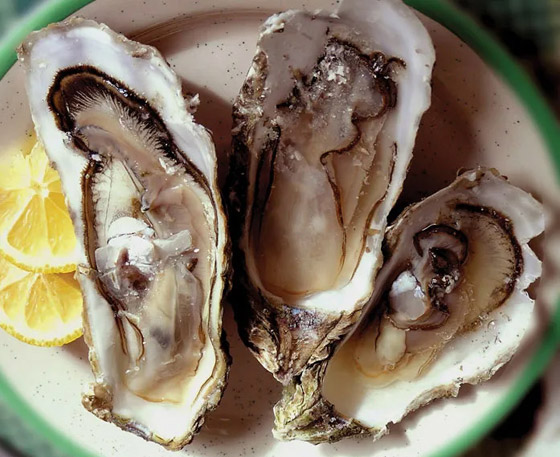 13 نوعا من الأطعمة تؤخر ظهور التجاعيد المبكرة وشيخوخة البشرة صورة رقم 8