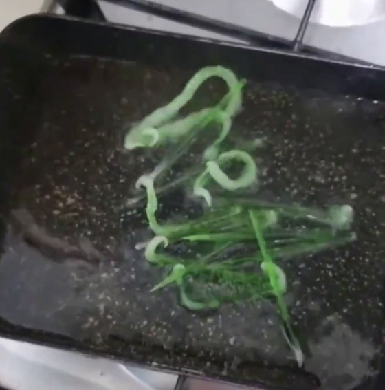 صيحة غريبة تجتاح كوريا الجنوبية.. قلي أعواد أسنان وأكلها! صورة رقم 15