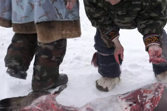 أكل اللحوم نيئة وارتداء جلود الحيوانات.. آليات التدفئة التي ابتكرتها الشعوب القديمة لمواجهة فصل الشتاء صورة رقم 3