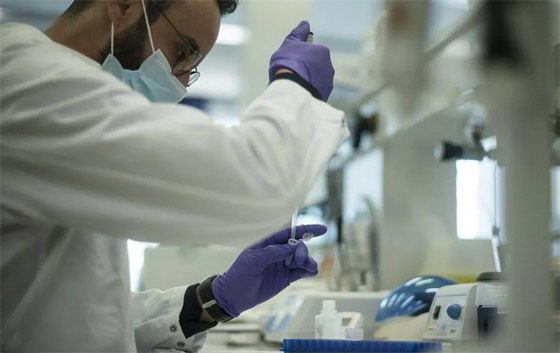 الطريقة المعتمدة في تصنيف السرطانات باتت قديمة.. ما السبب؟ صورة رقم 1