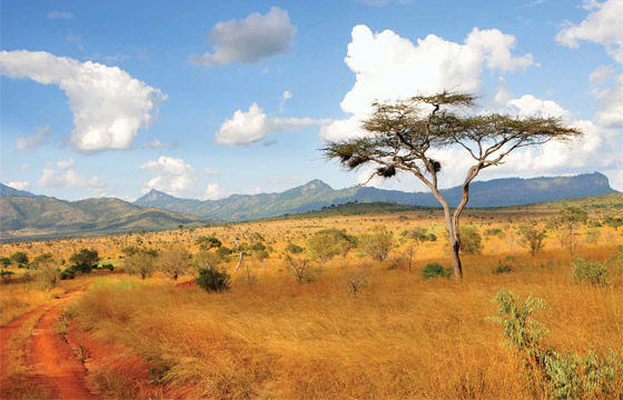 كينيا تتصدر قائمة (ناشيونال جيوغرافيك) للأجدر زيارة في 2024 صورة رقم 6