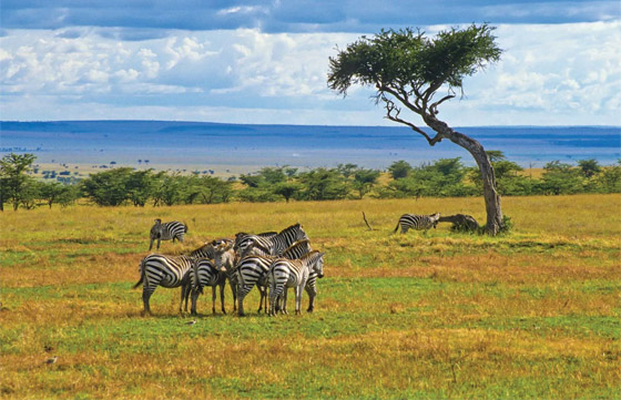 كينيا تتصدر قائمة (ناشيونال جيوغرافيك) للأجدر زيارة في 2024 صورة رقم 8