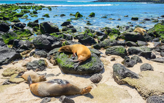 بينها 3 محميات بإفريقيا.. أفضل 9 أماكن لاستكشاف الحياة البرية حول العالم صورة رقم 6