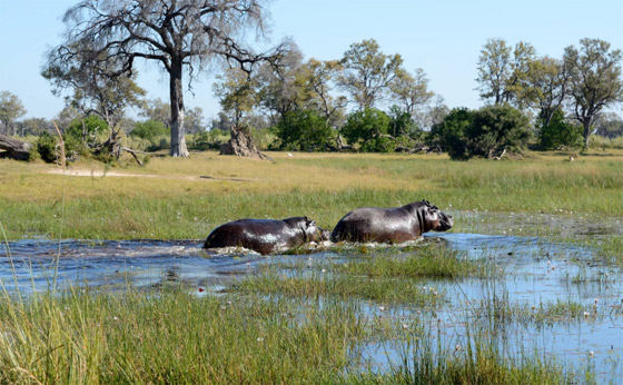 بينها 3 محميات بإفريقيا.. أفضل 9 أماكن لاستكشاف الحياة البرية حول العالم صورة رقم 7