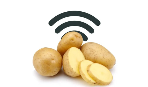 كيف ساهمت البطاطس بتطوير تقنية الواي فاي في الطائرات؟ صورة رقم 1