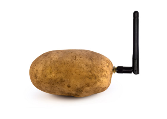 كيف ساهمت البطاطس بتطوير تقنية الواي فاي في الطائرات؟ صورة رقم 2