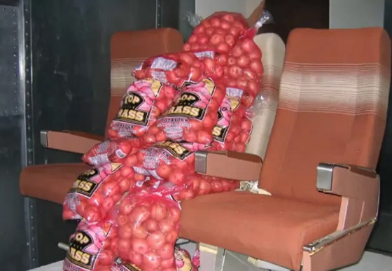 كيف ساهمت البطاطس بتطوير تقنية الواي فاي في الطائرات؟ صورة رقم 4