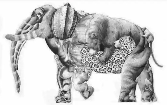 نشط عقلك وحارب ألزهايمر.. كم حيوانا تراه في الصورة؟ صورة رقم 1