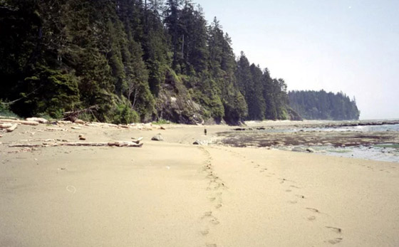 مسارات رائعة حول العالم.. ينصح بالمشي فيها مسافات طويلة صورة رقم 1