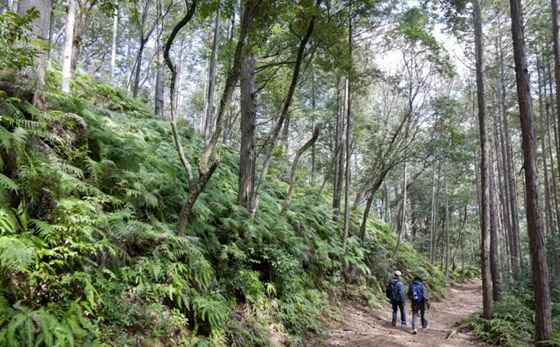 مسارات رائعة حول العالم.. ينصح بالمشي فيها مسافات طويلة صورة رقم 4