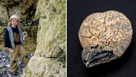 طفل مهووس بالديناصورات يعثر على حفرية نادرة صورة رقم 1