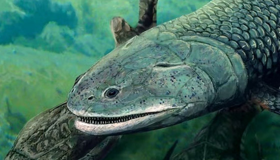 كانت تتنفس الهواء.. سمكة قاتلة عاشت قبل ملايين السنين صورة رقم 1