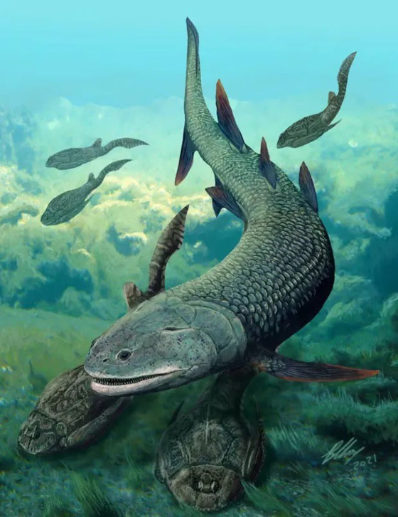 كانت تتنفس الهواء.. سمكة قاتلة عاشت قبل ملايين السنين صورة رقم 3