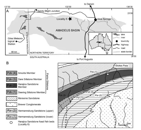 كانت تتنفس الهواء.. سمكة قاتلة عاشت قبل ملايين السنين صورة رقم 5