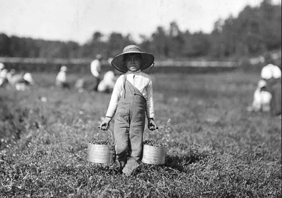 أسوأ الوظائف التي شغلها أطفال عبر التاريخ صورة رقم 1