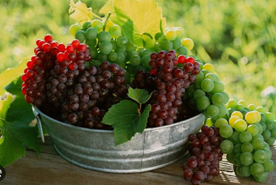 لتقوية الدم.. 10 فواكة تزيد الهيموغلوبين بشكل طبيعي صورة رقم 7