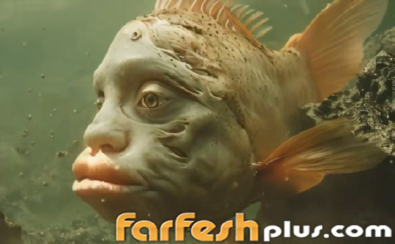 أسماك بوجوه بشرية.. صور وفيديوهات غريبة تجتاح التواصل! صورة رقم 3