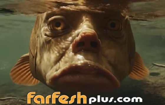 أسماك بوجوه بشرية.. صور وفيديوهات غريبة تجتاح التواصل! صورة رقم 5