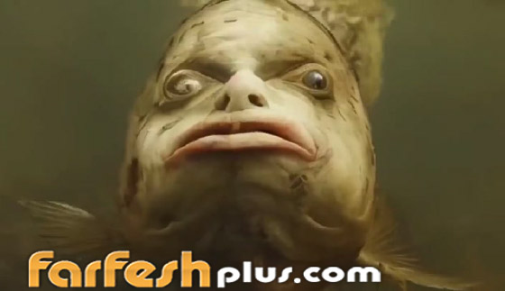 أسماك بوجوه بشرية.. صور وفيديوهات غريبة تجتاح التواصل! صورة رقم 8