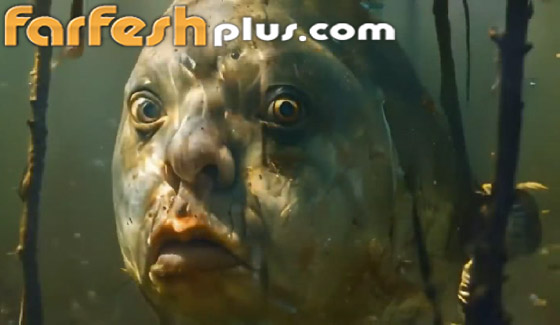 أسماك بوجوه بشرية.. صور وفيديوهات غريبة تجتاح التواصل! صورة رقم 10