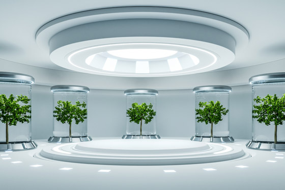 تعرفوا إلى 7 محاولات مذهلة لزراعة الغذاء في الفضاء صورة رقم 1