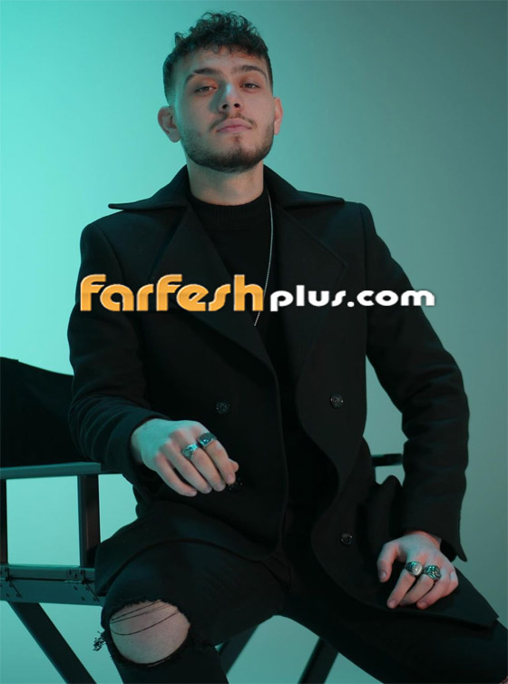  كيف رد الشامي على نوال الزغبي التي قالت: أحب موسيقاه لكن لا أفهم أغانيه!  صورة رقم 8