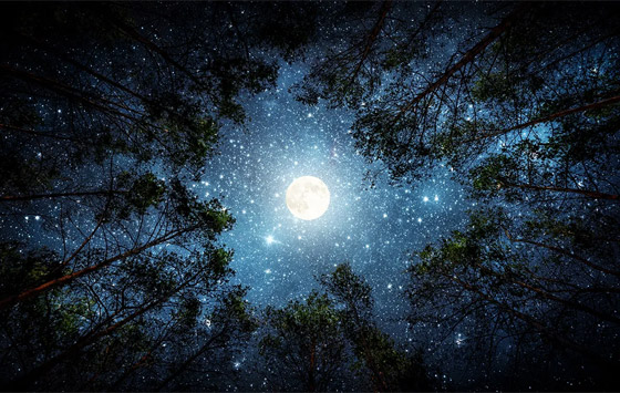 يطل بعد 5 أيام.. ماذا تعرف عن (قمر الثلج الصغير)؟ صورة رقم 8 يطل بعد 5 أيام.. ماذا تعرف عن (قمر الثلج الصغير)؟ صورة رقم 8