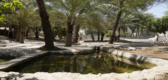 دبي: تجربة من نوع آخر تنتظر عشاق المغامرة داخل أنفاق تحت الأرض صورة رقم 11