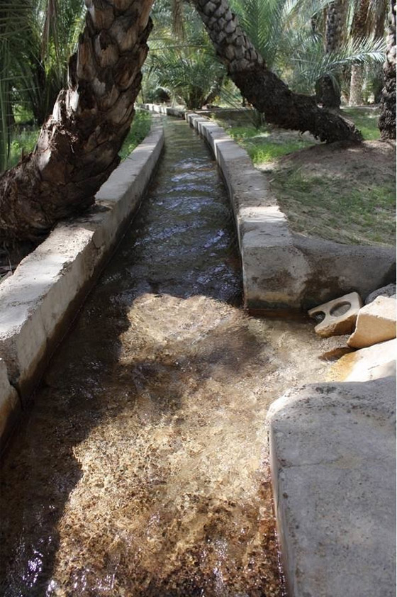 دبي: تجربة من نوع آخر تنتظر عشاق المغامرة داخل أنفاق تحت الأرض صورة رقم 2