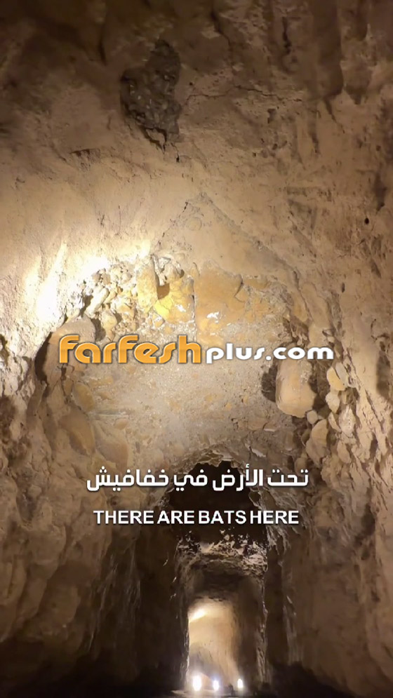 دبي: تجربة من نوع آخر تنتظر عشاق المغامرة داخل أنفاق تحت الأرض صورة رقم 7