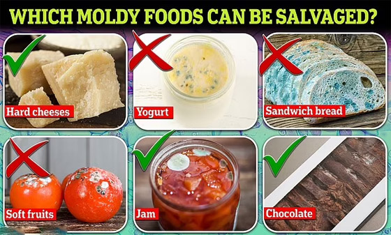 قائمة بأهم أطعمة يمكن تناولها حتى لو كانت متعفنة! صورة رقم 2