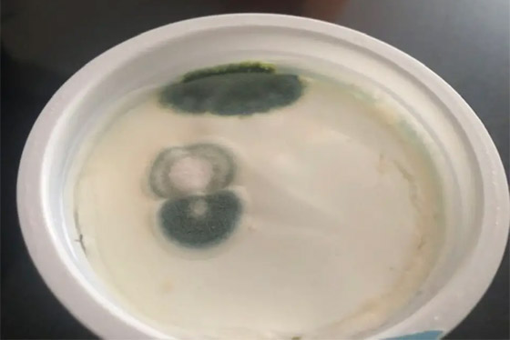 قائمة بأهم أطعمة يمكن تناولها حتى لو كانت متعفنة! صورة رقم 3