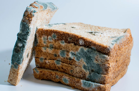 قائمة بأهم أطعمة يمكن تناولها حتى لو كانت متعفنة! صورة رقم 6