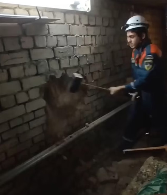 فيديو: سائحة علقت بفجوة وظلت تصرخ لـ3 أيام متتالية طلبا للنجدة! صورة رقم 4 فيديو: سائحة علقت بفجوة وظلت تصرخ لـ3 أيام متتالية طلبا للنجدة! صورة رقم 4